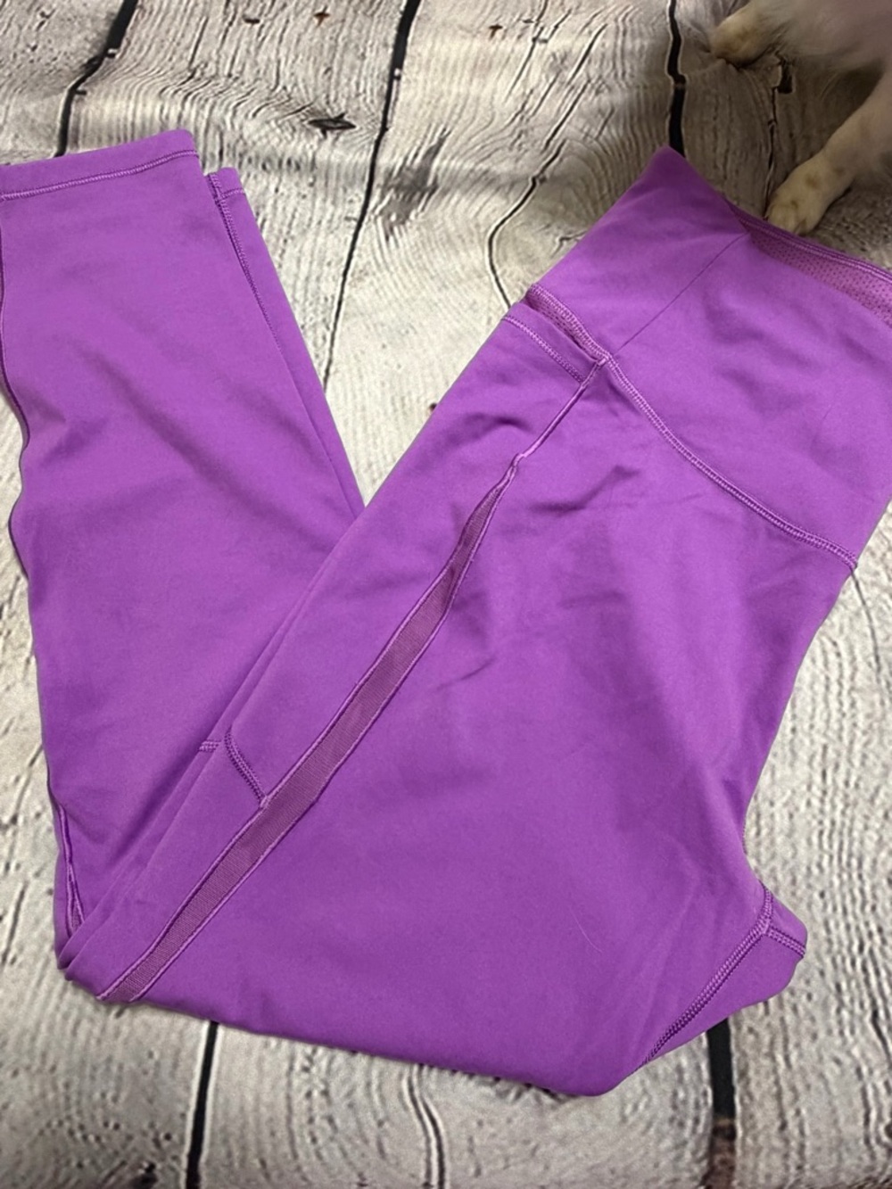 Calia Leggings